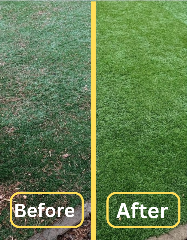 Before and after cleaning of artificial grass
