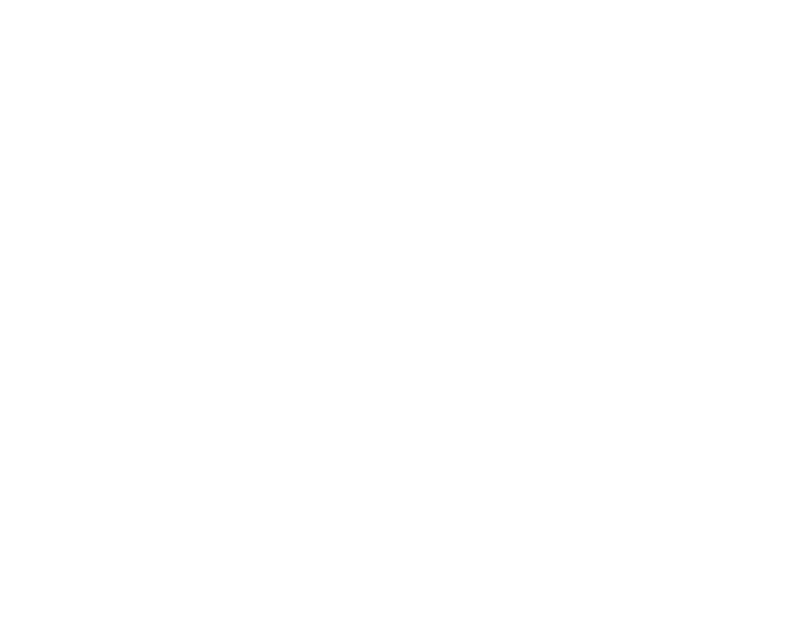 Dublin Jets logo